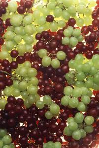 grapes.JPG