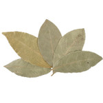 Need bay leaves? shop.cookingwithkimberly.com