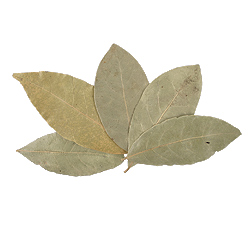 Need bay leaves? shop.cookingwithkimberly.com