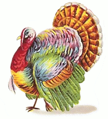 Start Defrosting Your Turkey Tonight