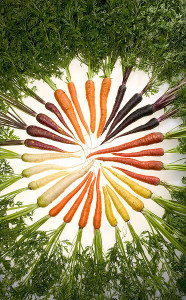 carrot colors