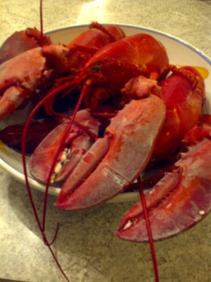 boiled lobster - cookingwithkimberly.com
