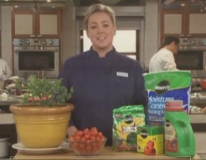 America's Test Kitchens & Miracle-Gro