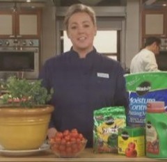 Miracle-Gro and America’s Test Kitchens Get Together to Cook Up Fresh Ideas From Your Garden