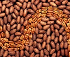 Submit Your Pecan Recipe for a Chance to Win $1000