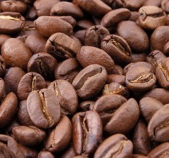 Web Chef Review: Mayorga Coffee Roasters – Washington-Dulles Airport
