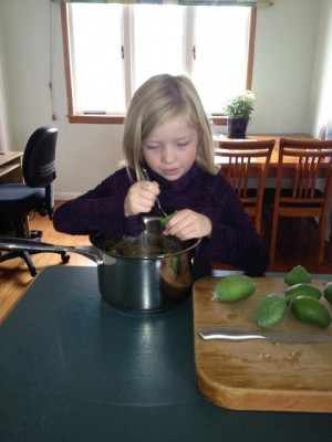 Talia Preparing the Feijoa for Today's Cooking Video - CookingWithKimberly.com