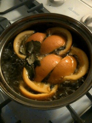 How to Make Citrus Pot Pourri - CookingWithKimberly.com
