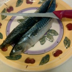 How to Clean a Whole Fish: Mackerel + Video