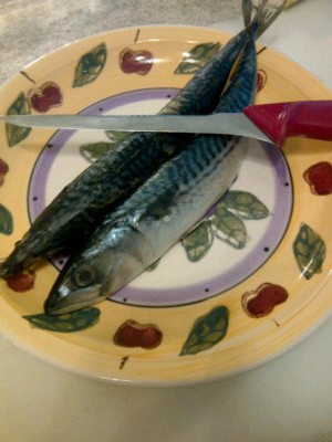 How to Clean a Whole Mackerel - CookingWithKimberly.com