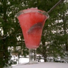 How to Make Real Snow-Cones: Maple Syrup & Cranberry Cordial