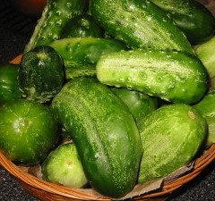 How to Cook Sauteed Cucumbers