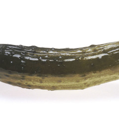 How to Can Dill Pickles: National Pickle Day