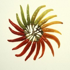 A Celebration of Peppers: National Pepper Month