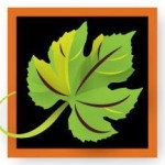 Wine Country Kitchens logo: winecountrykitchens.com