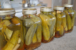How to Can Mom's Dill Pickles - cookingwithkimberly.com