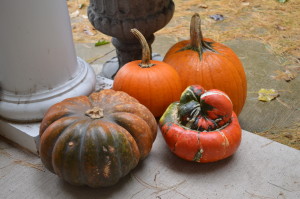 Ontario Pumpkins at Harvest Barn Country Markets - cookingwithkimberly.com