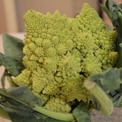 Web Chef Review: Ontario Romanesco Broccoflower at Harvest Barn Country Markets