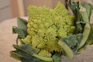 Web Chef Review: Ontario Romanesco Broccoflower - cookingwithkimberly.com