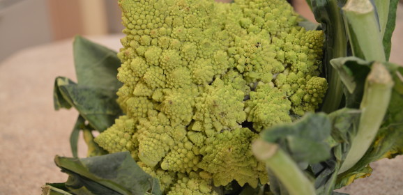 Web Chef Review: Ontario Romanesco Broccoflower at Harvest Barn Country Markets