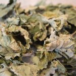 How to Brew Organic Red Currant Leaf Tea - cookingwithkimberly.com
