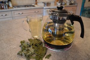 How to Brew Organic Red Currant Leaf Tea - cookingwithkimberly.com