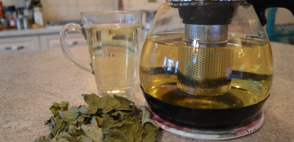 How to Brew Organic Red Currant Leaf Tea + Video