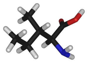 Isoleucine molecule in 3D