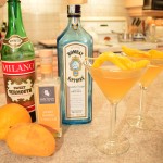How to Make Napa Valley Mango Martinis - cookingwithkimberly.com