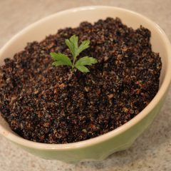 How to Cook Organic Black Quinoa Video