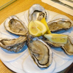 Raw Oysters on the Half-Shell – Have You Tried One?