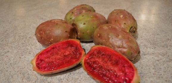 How to Prepare & Eat Prickly Pears – aka Opuntia Video