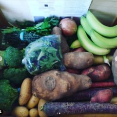 Web Chef Review: Small Scale Farms Produce Box Subscription