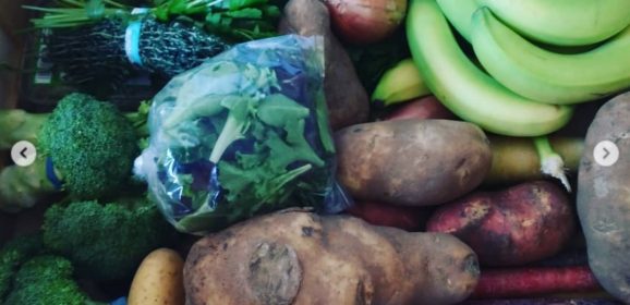 Web Chef Review: Small Scale Farms Produce Box Subscription