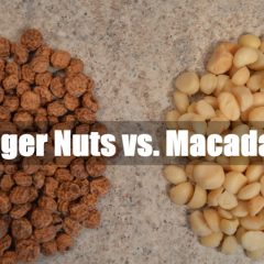 Tiger Nuts vs. Macadamia Nuts: Nutrition Battle Video