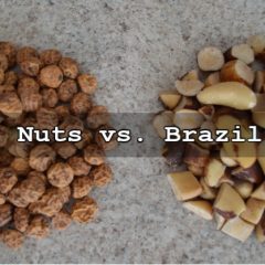 Why Do Tiger Nuts Beat Brazil Nuts? Video