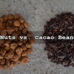 Why Do Tiger Nuts Beat Cacao Beans? Video