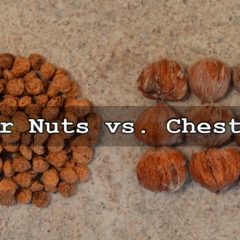 Why Do Tiger Nuts Beat Chestnuts? Video
