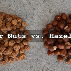 Why Do Tiger Nuts Beat Hazelnuts? Video