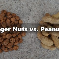 Why Do Tiger Nuts Beat Peanuts? Video