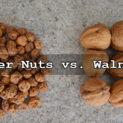 Why Do Tiger Nuts Beat Walnuts? Video