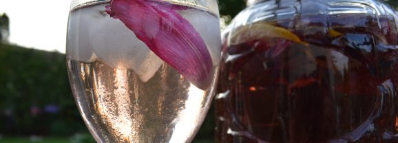 How to Make Tulip Water + Video