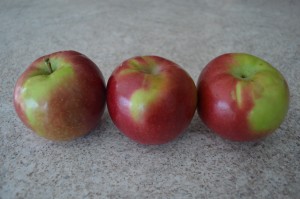 macintosh apples - cookingwithkimberly.com