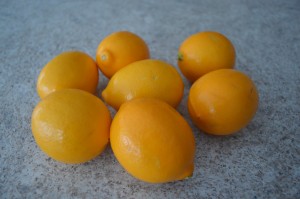 meyer lemons - cookingwithkimberly.com