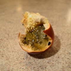 Passion Fruit: My Favorite Australian Tropical Fruit