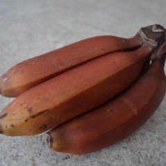 How to Prepare & Eat Red Bananas Video