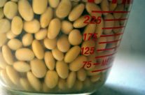 How to Soak Soy Beans Overnight for Cooking Video