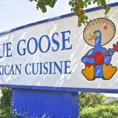 Web Chef Review: Blue Goose Mexican Cantina – Addison, TX