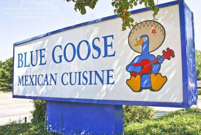 Web Chef Review: Blue Goose Mexican Cantina – Addison, TX