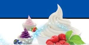 Commercial Frozen Yogurt & Ice Cream Machines NOT Just for Restaurants